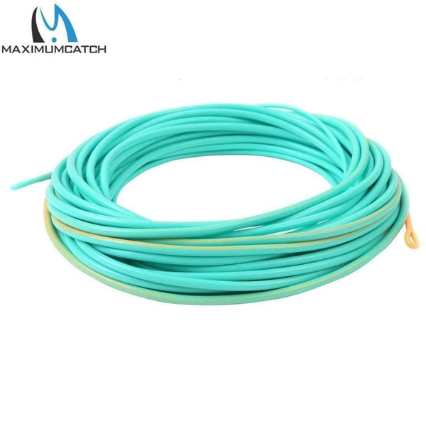 Planet Gates Skagit Shooting Head Fly Fishing Line With 2 Welded Loops 17-29FT 200-650gr Double Color Floating Fly Line