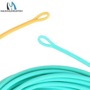 Planet Gates Skagit Shooting Head Fly Fishing Line With 2 Welded Loops 17-29FT 200-650gr Double Color Floating Fly Line