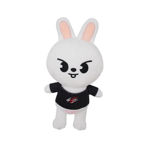 Planet Gates Skzoo Stray Kids Plush Skzoo Plushie Stray Kuds Korean Group Skzoo Plush Toys Pig Stuffed Animal Kids Adults Fans Hobby Kawaii