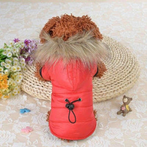 Planet Gates Small Large Dogs Clothes Wear Jacket Costume Chihuahua Coats Yorkshire For Pets Clothing With Caps8