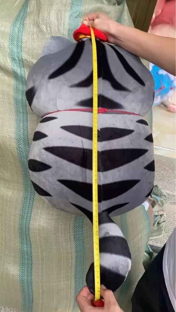 Planet Gates Soft Animal Cartoon Pillow Plush Animal Doll Toys Kawaii Cat Pillow Big Soft Cushion Cover Stuffed Lovely Kids Birthyday Gift