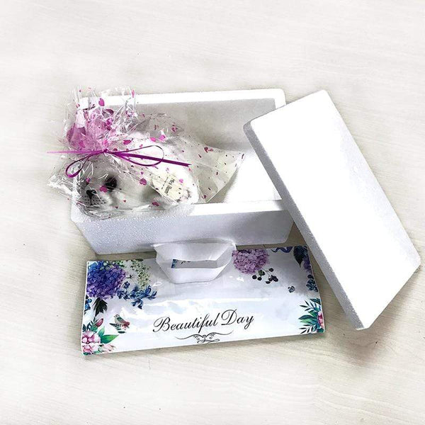 Planet Gates Soft Cute Seals Plush Toy Sea World Animal Sea Lion Plush Stuffed Doll Big Eyes Baby Birthday Gift for Kids Girls