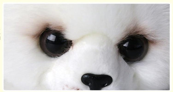 Planet Gates Soft Cute Seals Plush Toy Sea World Animal Sea Lion Plush Stuffed Doll Big Eyes Baby Birthday Gift for Kids Girls