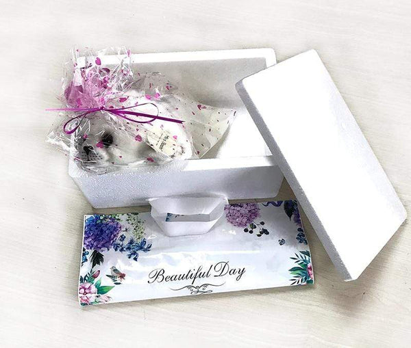 Planet Gates Soft Cute Seals Plush Toy Sea World Animal Sea Lion Plush Stuffed Doll Big Eyes Baby Birthday Gift for Kids Girls