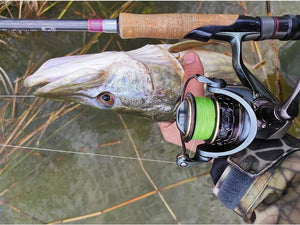 Planet Gates Spool Spinning Fishing Reel JAGUAR 1000 2000 3000 185G 6KG Max Carbon Drag Carp Saltwater Reel Bass Pike Wheel