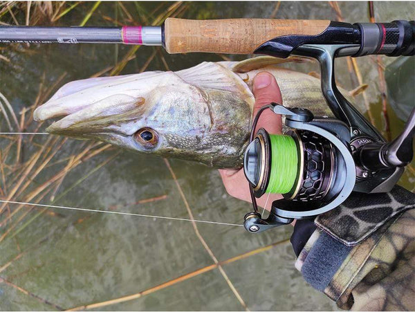 Planet Gates Spool Spinning Fishing Reel JAGUAR 1000 2000 3000 185G 6KG Max Carbon Drag Carp Saltwater Reel Bass Pike Wheel