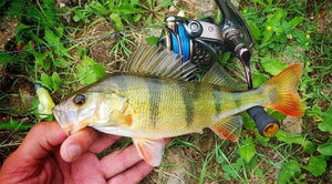 Planet Gates Spool Spinning Fishing Reel JAGUAR 1000 2000 3000 185G 6KG Max Carbon Drag Carp Saltwater Reel Bass Pike Wheel