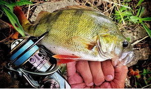 Planet Gates Spool Spinning Fishing Reel JAGUAR 1000 2000 3000 185G 6KG Max Carbon Drag Carp Saltwater Reel Bass Pike Wheel