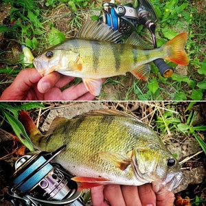 Planet Gates Spool Spinning Fishing Reel JAGUAR 1000 2000 3000 185G 6KG Max Carbon Drag Carp Saltwater Reel Bass Pike Wheel