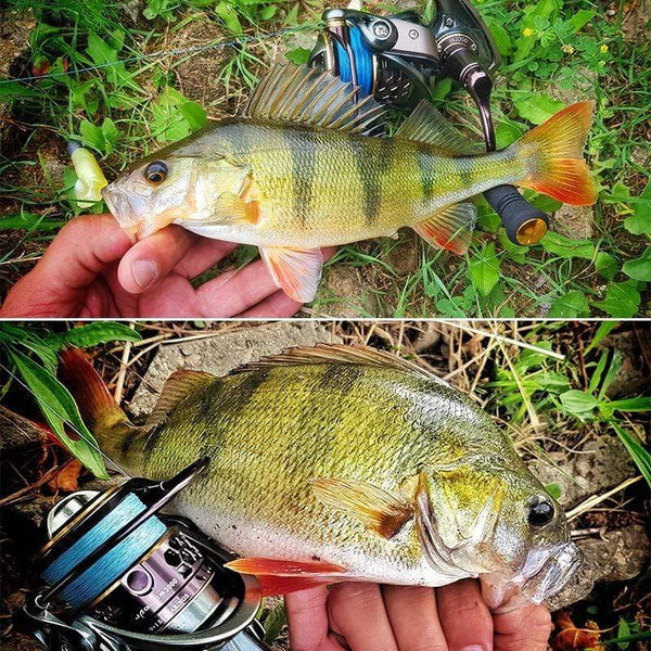 Planet Gates Spool Spinning Fishing Reel JAGUAR 1000 2000 3000 185G 6KG Max Carbon Drag Carp Saltwater Reel Bass Pike Wheel