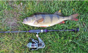 Planet Gates Spool Spinning Fishing Reel JAGUAR 1000 2000 3000 185G 6KG Max Carbon Drag Carp Saltwater Reel Bass Pike Wheel