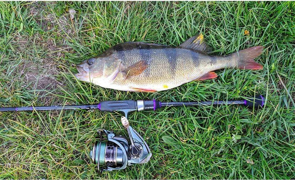 Planet Gates Spool Spinning Fishing Reel JAGUAR 1000 2000 3000 185G 6KG Max Carbon Drag Carp Saltwater Reel Bass Pike Wheel