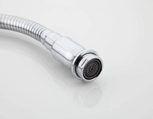 Planet Gates Stainless Steel Spray Head on Kitchen Faucet with Universal Directions Hose Polished F7320