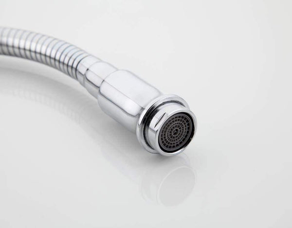 Planet Gates Stainless Steel Spray Head on Kitchen Faucet with Universal Directions Hose Polished F7320