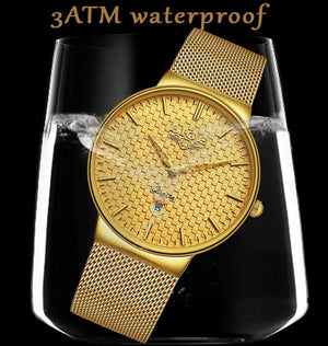 Planet Gates Steel all gold Mens Watches Top Brand Luxury Ultra Thin Quartz Watch Men Steel Mesh Strap Waterproof Gold Watch Relogio Masculino