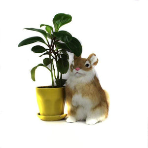 Planet Gates Stuffed Toys Lovely Simulation Lifelike Rabbit Animal Doll Plush Toy Kids Decorations Birthday Gift For Children