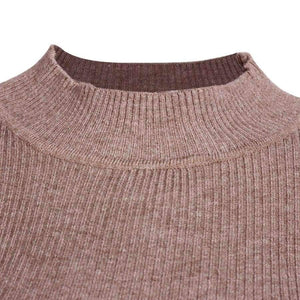 Planet Gates Sweaters And Pullovers 2018 Autumn Turtleneck Jumpers  Casual Knitted Women Tops Long Sleeve Basic Sweaters For Women