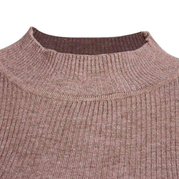 Planet Gates Sweaters And Pullovers 2018 Autumn Turtleneck Jumpers  Casual Knitted Women Tops Long Sleeve Basic Sweaters For Women