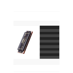 Planet Gates T008K Harmonica Diatonic 10 Hole Armonica Blues mondharmonica gaita de boca Mouth Ogan Musical Instruments