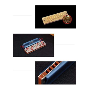 Planet Gates T008K Harmonica Diatonic 10 Hole Armonica Blues mondharmonica gaita de boca Mouth Ogan Musical Instruments