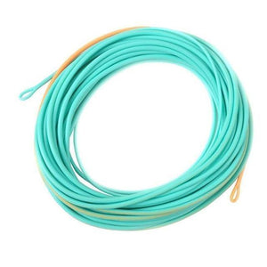 Planet Gates Teal Orange Color / 20FT 300gr / Mainline Skagit Shooting Head Fly Fishing Line With 2 Welded Loops 17-29FT 200-650gr Double Color Floating Fly Line