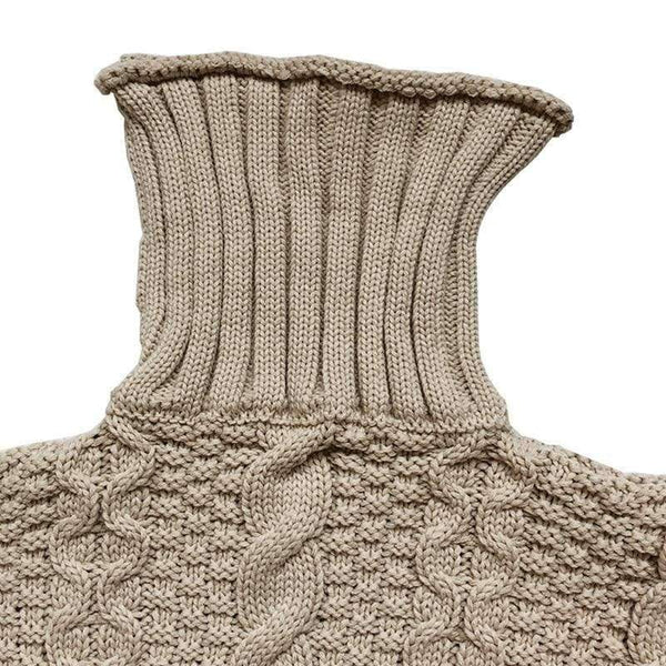 Planet Gates Thicken Knitted Pullovers Turtleneck Long Sweater For Women Autumn Winter Twist Knit Lady's Sweater 2018 Warm Pull Femme