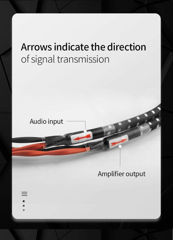 Planet Gates TODN HIFI speaker audio cable High-end stereo Amplifier cable High purity oxygen-free copper banana Gold-plated plug a pair