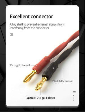 Planet Gates TODN HIFI speaker audio cable High-end stereo Amplifier cable High purity oxygen-free copper banana Gold-plated plug a pair