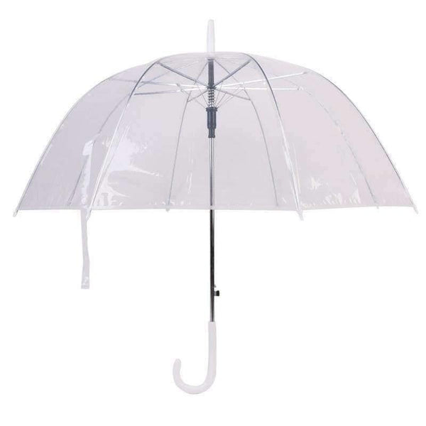Planet Gates Transparent Leaves Cage Sunny Umbrella Rain Umbrella Parasol Women Semi-automatic Umbrellas Clear Paraguas
