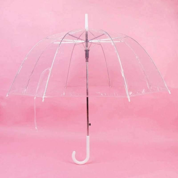 Planet Gates Transparent Leaves Cage Sunny Umbrella Rain Umbrella Parasol Women Semi-automatic Umbrellas Clear Paraguas
