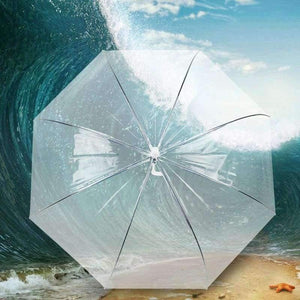 Planet Gates Transparent Leaves Cage Sunny Umbrella Rain Umbrella Parasol Women Semi-automatic Umbrellas Clear Paraguas