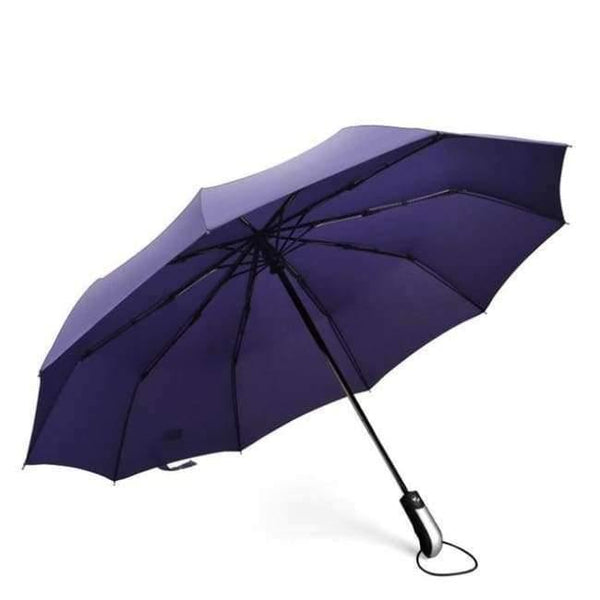 Planet Gates UBY10 Purple / China Men Business Automatic Umbrella Female Windproof Stainless Steel Umbrellas Rain Women Folding Summer Umbrella UBY03