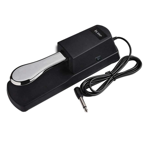 Planet Gates Universal Piano Keyboards Sustain Foot Pedal Musical Instruments Professional