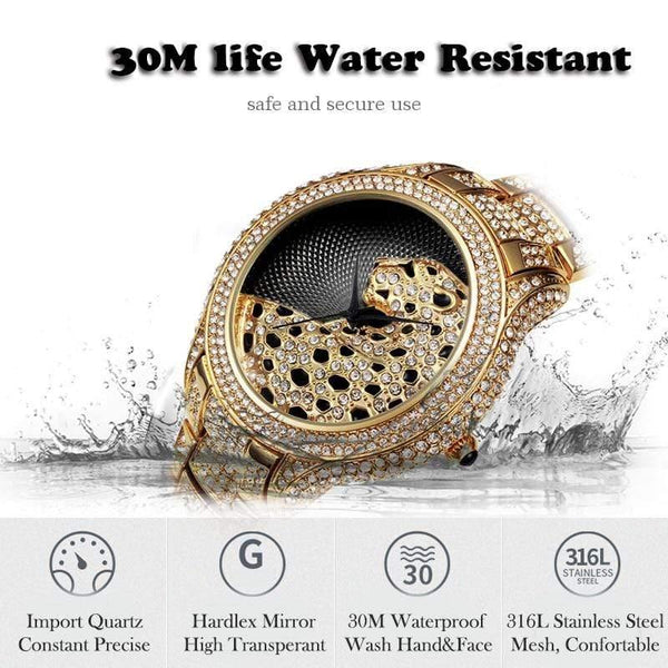 Planet Gates v2241 Watch Men Diamond Gold Mens Watches Top Brand Luxury C Black Simple Tiger Xfcs Business Men's Quartz Watch