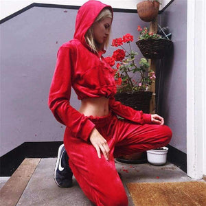 Planet Gates velvet long sleeve hooded loose crop tops pants 2 pieces sets 2018 autumn winter women fashion sexy casual hoodies set