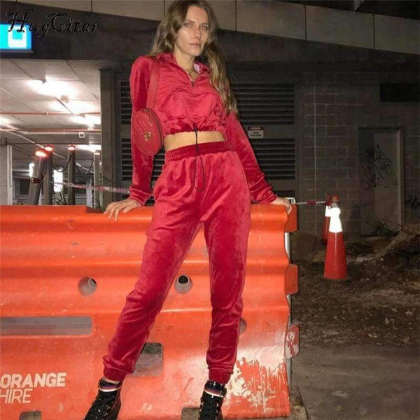 Planet Gates velvet long sleeve hooded loose crop tops pants 2 pieces sets 2018 autumn winter women fashion sexy casual hoodies set