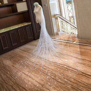 Planet Gates Wedding Veil With Comb  Lace Appliques Soft Tulle 3m Meters Long Bridal Veil Wedding Accessories