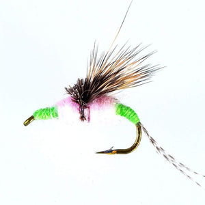 Planet Gates Wet Flies B 40PCS Fly Fishing Lure Wet Fly Fishing Flies Fishing Baits Fly Fishing Lure Box