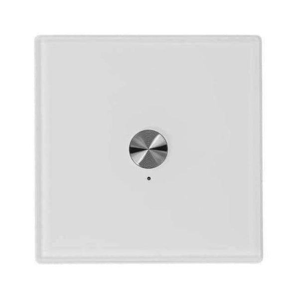 Planet Gates White AC100-240V 50/60Hz 1 Way 2 Way Wireless 30m Remote Control Switch Receiver for  Wall Light Lamp Panel Home Appliance