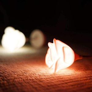 Planet Gates White Body Night Light Gift Mini Rose Lamp Led Bedroom Baby USB Charging Romantic Atmosphere Energy-Saving Desk Lamp White Rose Red Rose