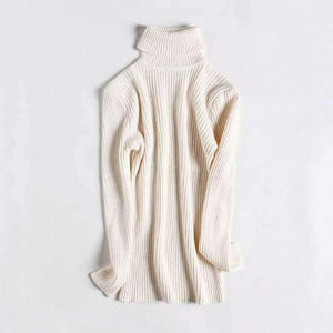 Planet Gates White / One Size Turtleneck Warm Women Sweater Autumn Winter Knitted Femme Pull High Elasticity Soft Female Pullovers Sweater Jumper