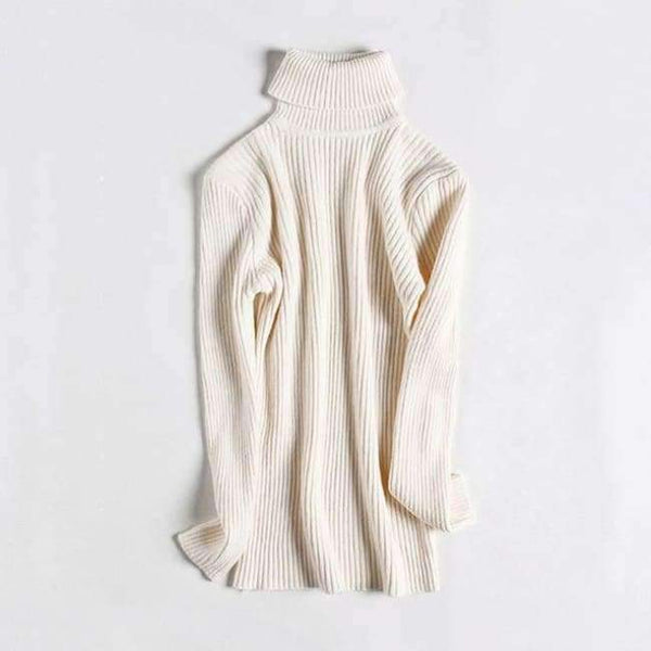 Planet Gates White / One Size Turtleneck Warm Women Sweater Autumn Winter Knitted Femme Pull High Elasticity Soft Female Pullovers Sweater Jumper