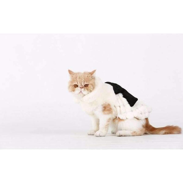 Planet Gates White / XS Pet Clothes Elegant Luxury Fur Winter Overcoat Small Dog Cat Clothes Bowknot Chihuahua