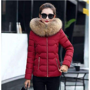 Planet Gates Wine red 2 / S New Fashion Winter Jacket Women Fake Raccoon Fur Collar Winter Coat Women Parkas Warm Down Jacket Female outerwear