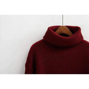 Planet Gates Winter Knitted Sweaters Women Fashion Turtleneck Pullover Sweater Female Casual All-match Jumper 8 Colors