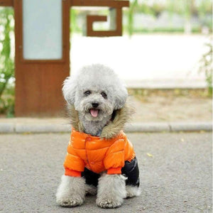 Planet Gates Winter Pet Dog Clothes Super Warm Down Jacket For Small Dogs Waterproof Dog Coat Thicker Cotton Hoodies For Chihuahua