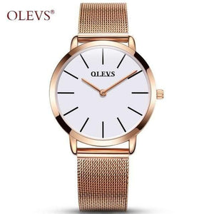 Planet Gates Women 2 Ladies Watch Brand Luxury Women Watches Waterproof Rose Gold Stainless Steel Quartz Calendar Wrist Watch montre femme