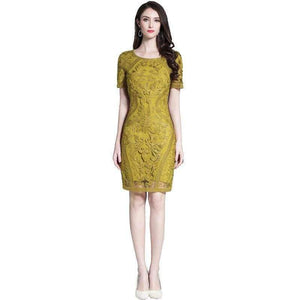 Planet Gates Women's Dress Spring Summer 2018 Party Events Dresses Female Allover Exquisite Embroidery Bodycon Sheath Dress Tight