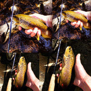 Planet Gates YELLOW 3WT/4WT Nymph Fly Fishing Rod Graphite Carbon Fiber 10FT 4Sec with Cordura Tube