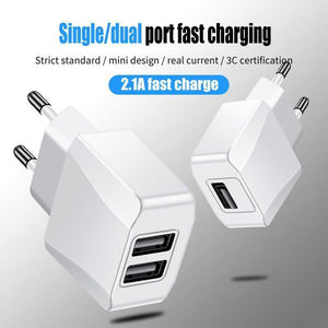 Planet Gates ZNP 2 Ports USB Charger For iPhone X 8 7 iPad Fast Wall Charger EU Adapter For Samsung S9 Xiaomi Mi 8 Mobile Phone Charger